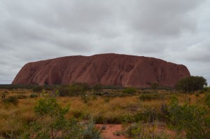 DSC_0010